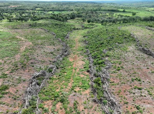 Operação Caatinga Resiste(Imagem:Ascom Semarh)