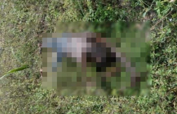 Corpo de homem é encontrado em mata no interior do Piauí