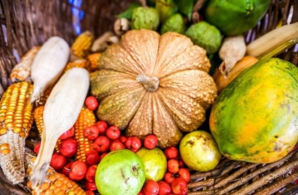 Piauí cria lei que apoia trabalhadores rurais e facilitam a reforma agrária