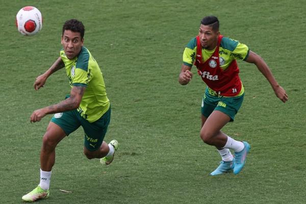 O clube alviverde tem uma queda média de 5% de pontos conquistados quando os dois não jogam pelo Palmeiras ao mesmo tempo por estarem com as seleções de Brasil e Paraguai, respecti(Imagem:Reprodução)