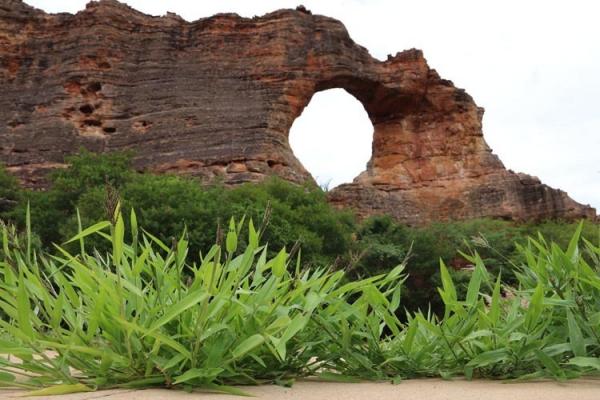 Principais operadores e ag&ecirc;ncias de turismo do Brasil v&ecirc;m ao Piau&iacute; para feira(Imagem:Divulga&ccedil;&atilde;o)