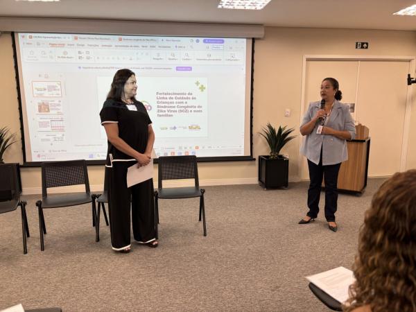 Piauí realiza oficina para fortalecer atenção integral de crianças com Síndrome Congênita do Zika(Imagem:Ascom Sesapi)
