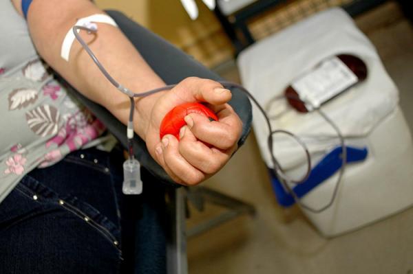 Hemopi fornece sangue aos 224 municípios do Piauí