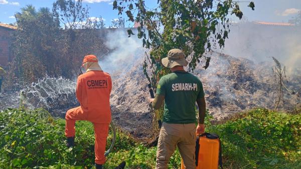Piauí amplia proteção ambiental com novos brigadistas;maior formatura da história será na sexta (25)
