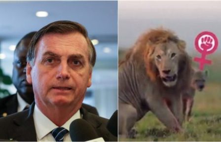 Bolsonaro admite erro em vídeo com hienas e promete retratação