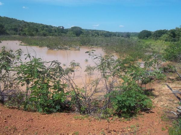 Secret&aacute;rio de Desenvolvimento Rural visita barragem na localidade Amolar.(Imagem:Assessoria de Imprensa)