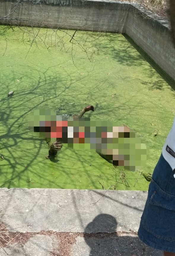Floriano: corpo de homem é encontrado submerso em tanque