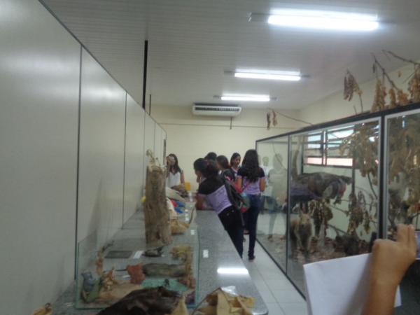 Estudantes realizam viagem t&eacute;cnica a &oacute;rg&atilde;os de Floriano.(Imagem:FlorianoNews)