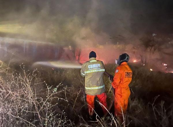 Bombeiros: combate a inc&ecirc;ndios florestais &eacute; destaque em 2024(Imagem:Divulga&ccedil;&atilde;o)