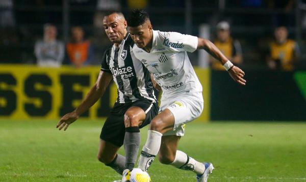 De olho em vaga na Libertadores, Botafogo recebe o Santos