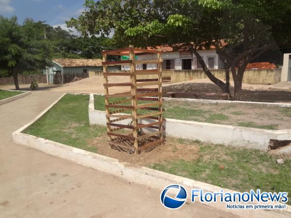 Prefeitura de Floriano inicia arborização de Praças.(Imagem:FlorianaoNews)