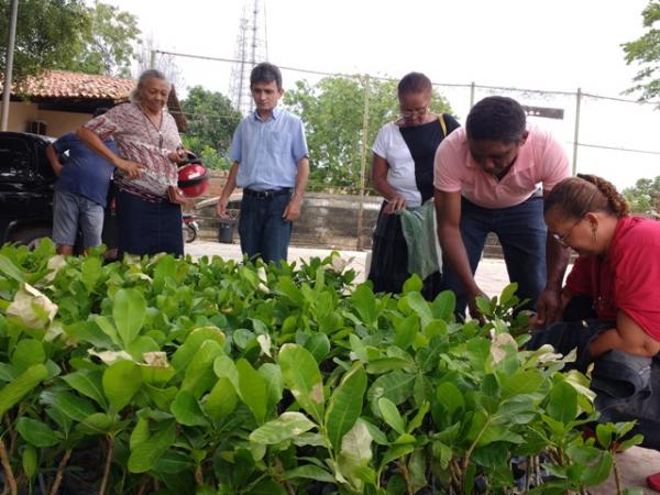 SDR faz distribuição de mudas e sementes para agricultores familiares de Floriano