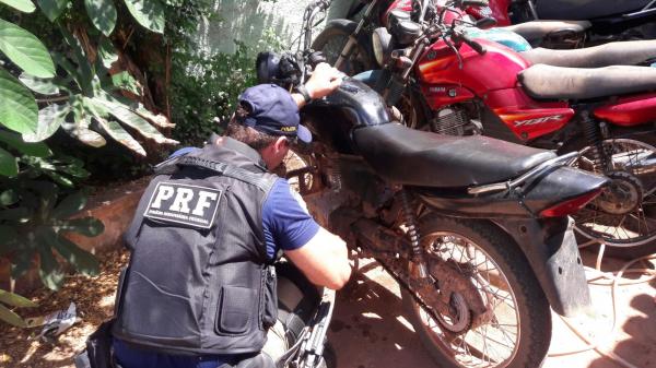 PRF recupera veículo roubado e apreende animais silvestres no sul do Piauí