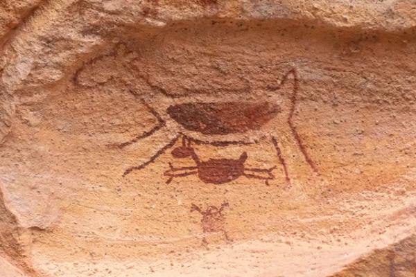 Detalhe de pintura pr&eacute;-hist&oacute;rica no Parque Nacional da Serra da Capivara.(Imagem:Celso Tavares/G1)