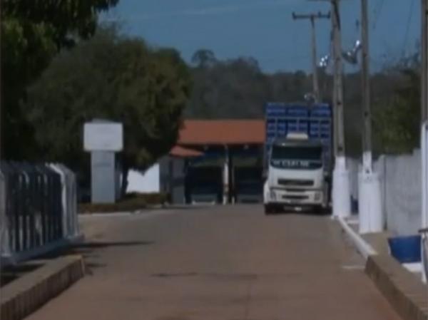Ministério Público do Piauí investiga abatedouros irregulares em Teresina