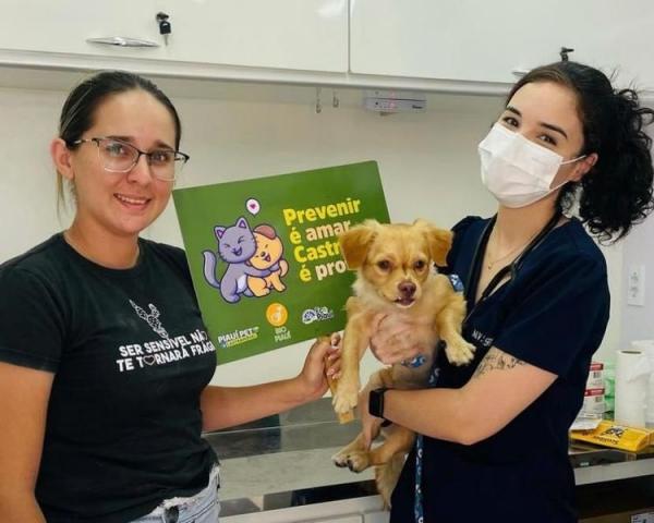 Piau&iacute; Pet Castram&oacute;vel j&aacute; realizou mais de 3000 castra&ccedil;&otilde;es no Piau&iacute;.(Imagem:Divulga&ccedil;&atilde;o)
