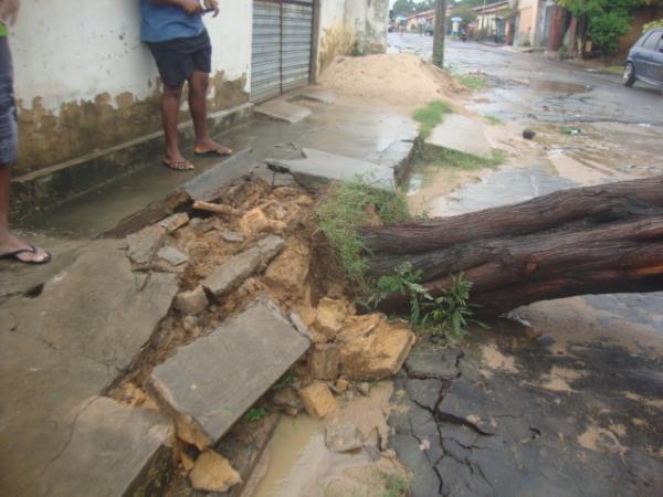 &Aacute;rvore arrancada pela raiz(Imagem:reda&ccedil;&atilde;o)