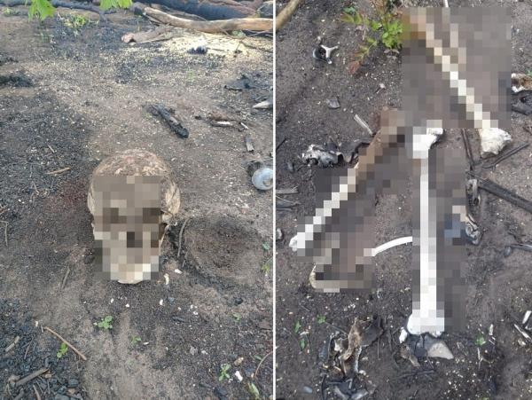 Ossada humana é encontrada por trabalhadores em cidade do Piauí