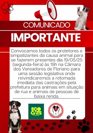 Organizações de proteção animal promovem mobilização por castrações em Floriano