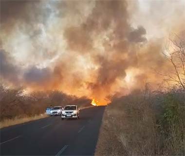 Incêndio de grandes proporções devasta vegetação entre Oeiras e Colônia do PI