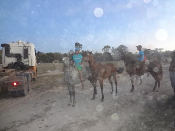 Veja fotos da Vaquejada na localidade Saco