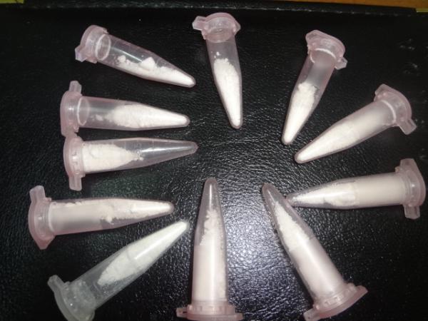 Pol&iacute;cia Militar apreendeu 11 c&aacute;psulas de coca&iacute;na em Pavussu.(Imagem:FlorianoNews)