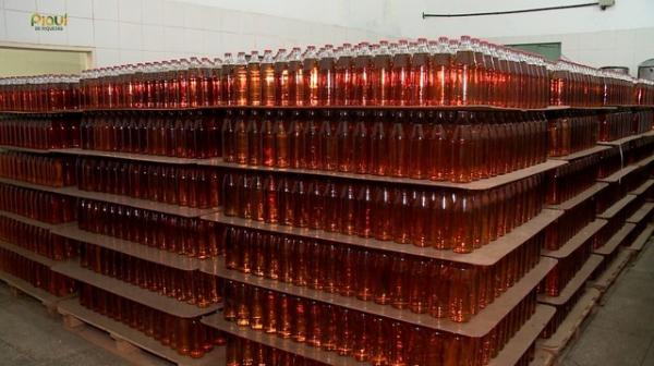 Santo Antônio de Lisboa, a capital do caju, usa o fruto para produzir cajuína, doces e até pizza