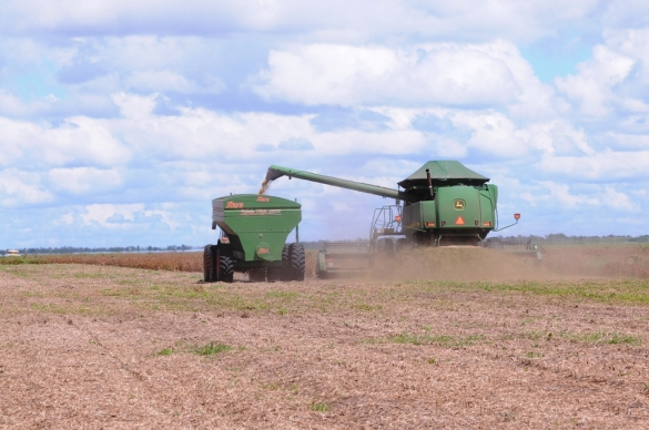 Sobe estimativa de produção agrícola do Piauí