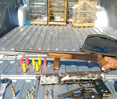 Homem é preso com armas de fogo e cinco animais silvestres