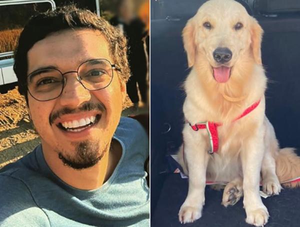 Cadela de médico que morreu em acidente some e família faz apelo